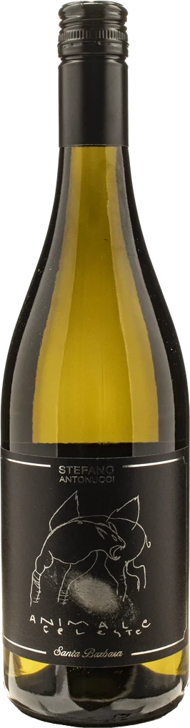 Santa Barbara Animale Celeste Sauvignon 2025