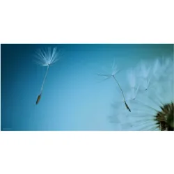 CoverYourDesk, Unterlage, Schreibtischunterlage Pusteblume