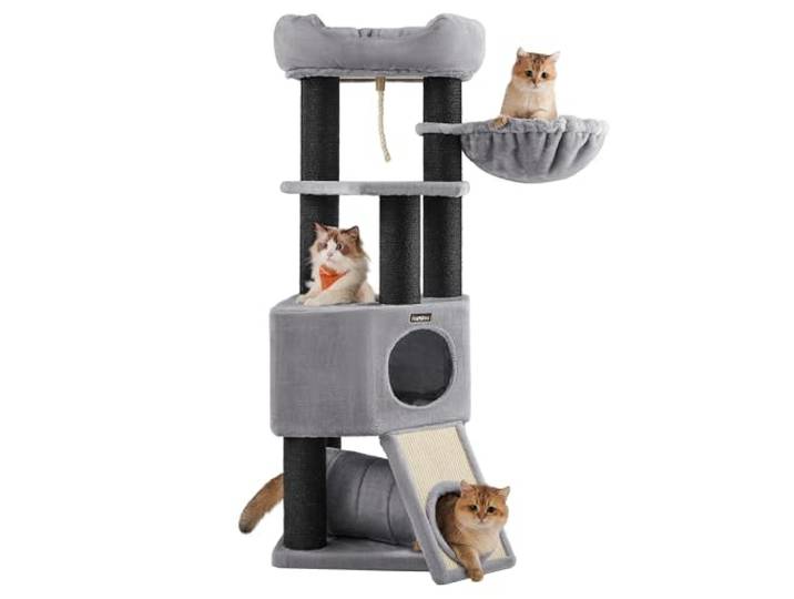 Feandrea krabpaal, kattenboom groot, met pluizige uitkijkplatform