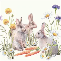 Ambiente 20 Servietten Papier 33x33cm 3-lagig - hochwertige Einweg Papierservietten Osterdeko Frühling Gartenparty Hasen Blumen Natur Tischdeko