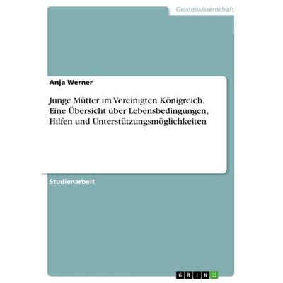 Junge Mütter im Vereinigten Königreich. Eine Übersicht über Lebensbedingungen, Hilfen und Unterstützungsmöglichkeiten, Taschenbuch von Anja Werner,