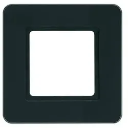 Berker Rahmen 1f. glas-sw 10116176