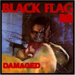Vinyl Records, Schallplatten, Damaged (Black Flag)