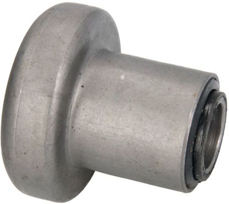 Lagerung, Querlenker REINHOCH RH14-0056