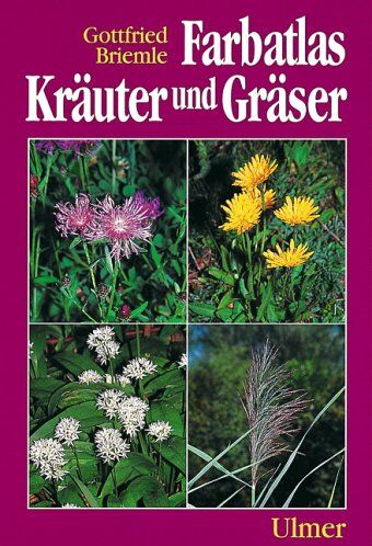 Gottfried Briemle - Farbatlas Kräuter und Gräser in Feld und Wald - Preis vom 16.10.2026 11:41:07 h