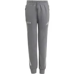 ADIDAS Kinder Hose MercedesAMG Petronas Formula One Team Silver Arrows für Kinder, Größe 140 in Grau Grau