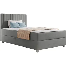 BOXBETT Viki - H3