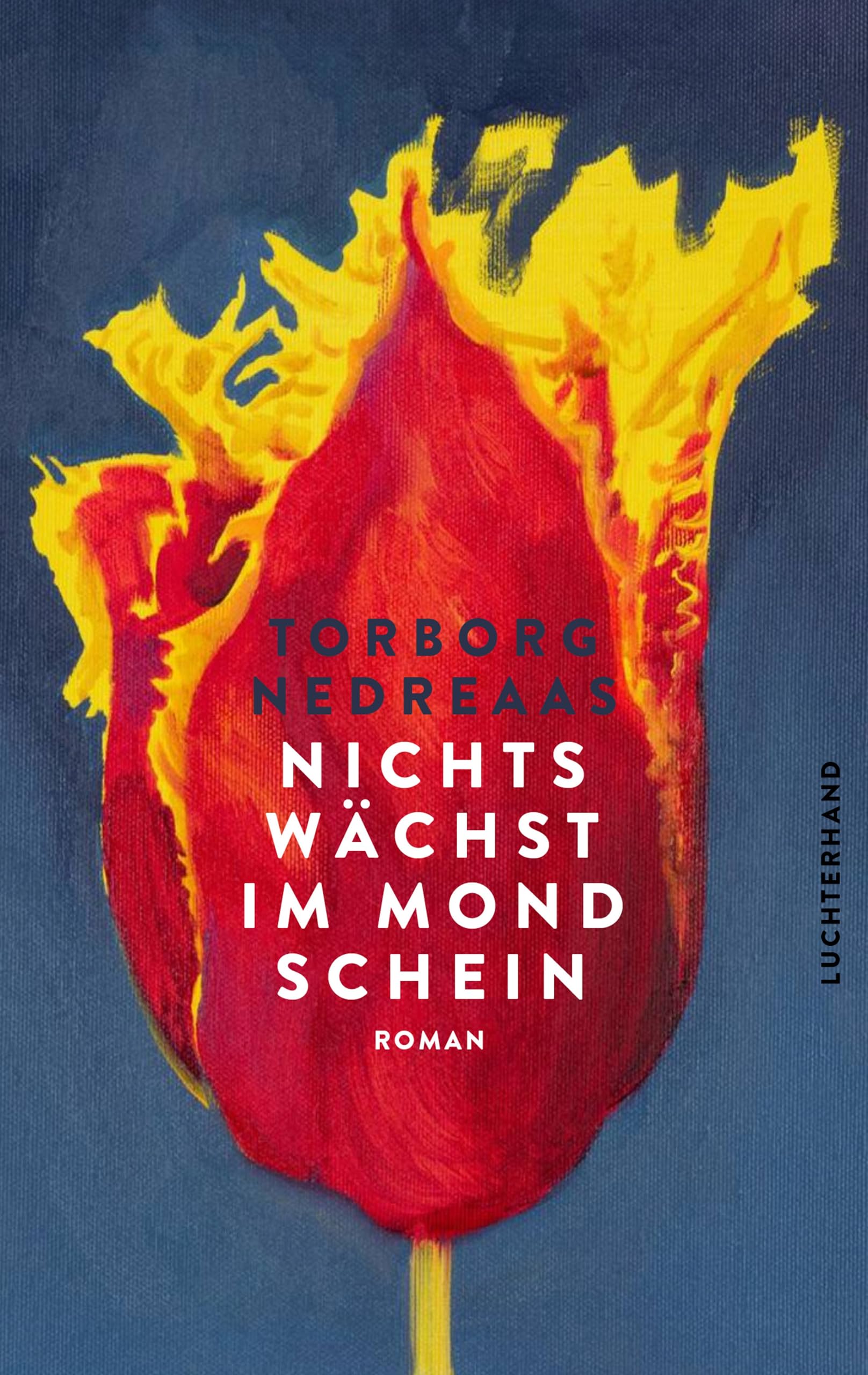 Torborg Nedreaas - Nichts wächst im Mondschein: Roman - Preis vom 12.10.2026 11:37:12 h