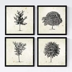 POSTER Set mit 4 Blättern der mittlere dünne Bäume Stamm 30x30 cm Rahmenlos