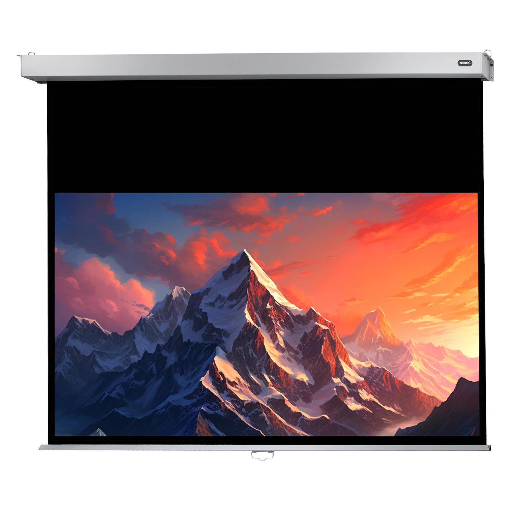 Celexon Rollo Professional Plus (99", 16:9) (1090788)