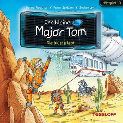 13: Die Wüste lebt - Bernd Flessner, Audio, 4066338550019
