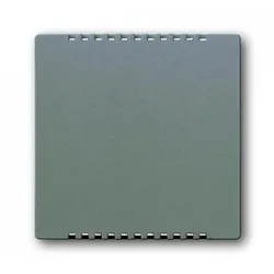 Busch-Jaeger 6541-803 Zentralscheibe für Kühlteil