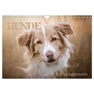 Hunde - Unsere Lieblingsnasen (Wandkalender 2027 DIN A4 quer), CALVENDO Monatskalender