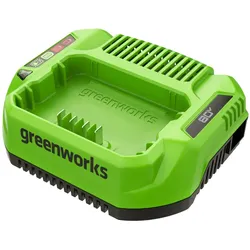 Greenworks 80V Ladegerät