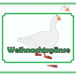 HB-Druck Weihnachtsgans Verkaufsschild Schild A1 (594x841mm)