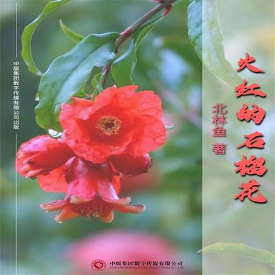 火红的石榴花 - 北林鱼, Audio, 4071498599266