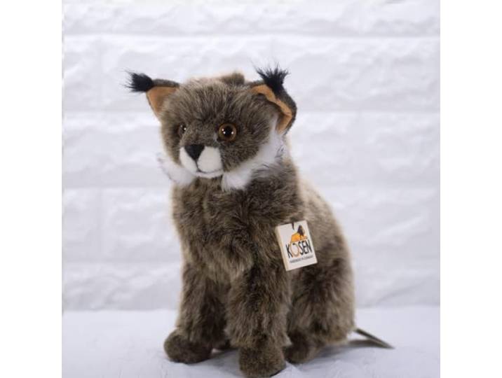 Ksen Kleiner Luchs Juri, sitzend
