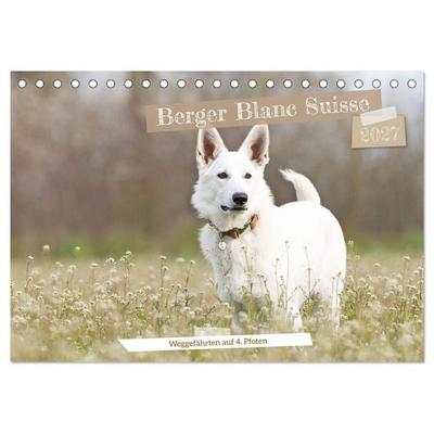 Berger Blanc Suisse - Weggefährten auf 4 Pfoten (Tischkalender 2027 DIN A5 quer), CALVENDO Monatskalender