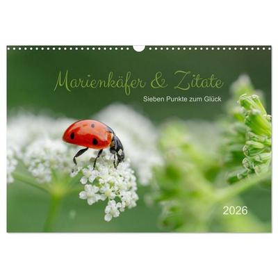 Marienkäfer & Zitate - Sieben Punkte zum Glück (Wandkalender 2026 DIN A3 quer), CALVENDO Monatskalender