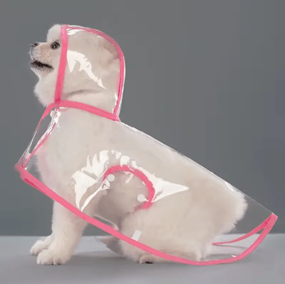 Inspire Picks Transparent Waterproof Dog Raincoat For Small & Large Dogs (XS8XL) pink xxl