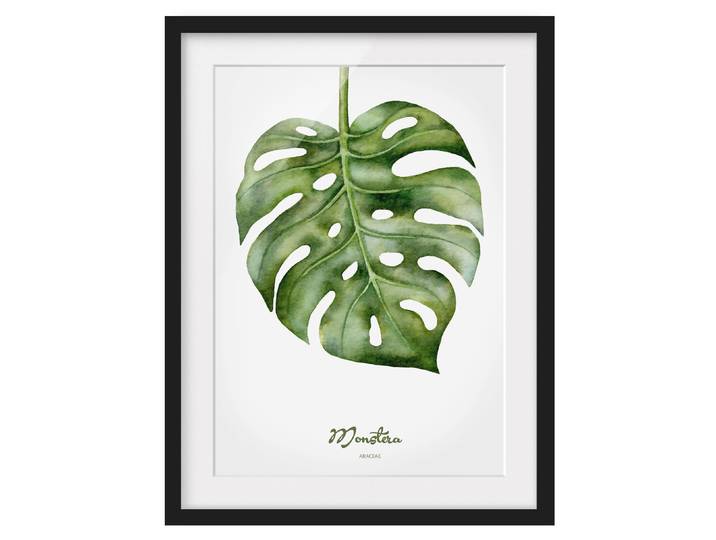Bild Aquarell Botanik Monstera I Teilmassivholz Kiefer, matt lackiert Grün 30 x 40cm
