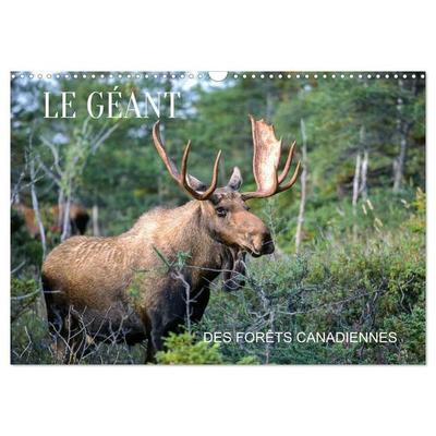 LE GÉANT DES FORÊTS CANADIENNES (Calendrier mural 2027 DIN A3 vertical), CALVENDO calendrier mensuel