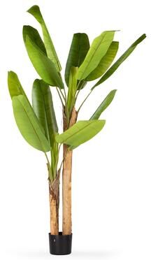 Enova Home Realistic Artificial Banana Tree in Nursery Pot for Indoor and Outdoor Decoration