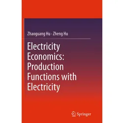 Electricity Economics: Production Functions with Electricity, Fachbücher von Zhaoguang Hu, Zheng Hu