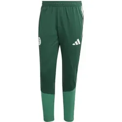 ADIDAS Herren Fanhose Algerien 26, Größe M in Grün Grün