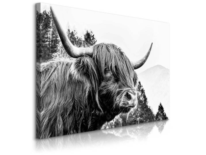 LEINWANDBILD für Wohnzimmer Schottische Kuh Bergen Natur 3D 120x80