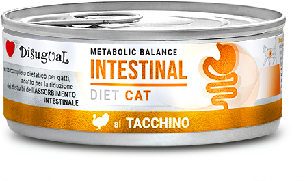Disugual Cat Intestinal de Pavo 12 uds x 85g