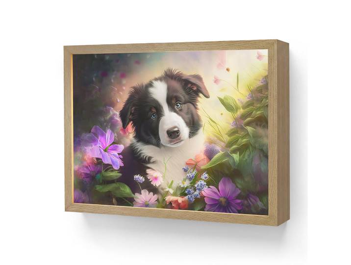 OnlyWow Nachttischlampe MIT Akku Welpe - Sonne - Blumen - Natur - Border Collie - Hund 40x30 cm, Violett, Rechteckig, LED integrated, 40x30x8 cm, Lampen & Leuchten, Innenbeleuchtung, Nachtlichter