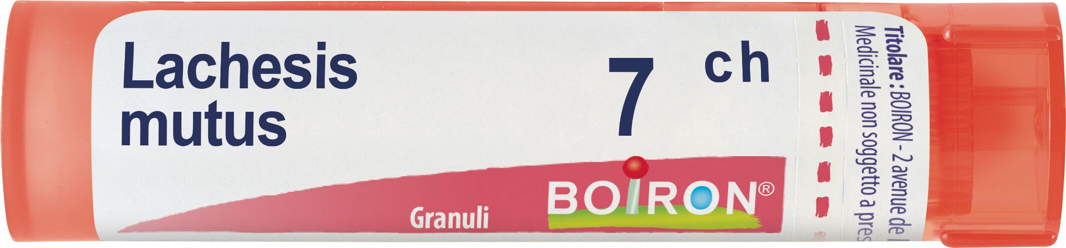 Lachesis Mutus 7ch Granuli Multidose Boiron