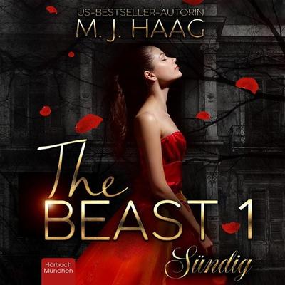 Sündig - M.J. Haag, Audio, 4066004656601
