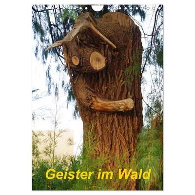 Geister im Wald 2027 (Wandkalender 2027 DIN A4 hoch), CALVENDO Monatskalender