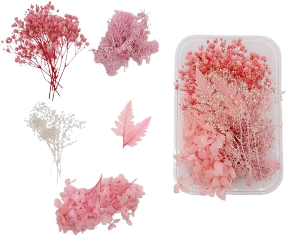 Kleine gedroogde bloemen voor ambachten, resin en scrapbooking