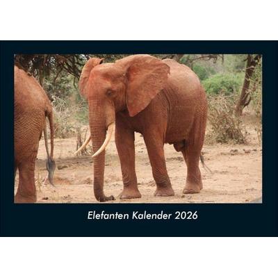 Elefanten Kalender 2026 Fotokalender DIN A4