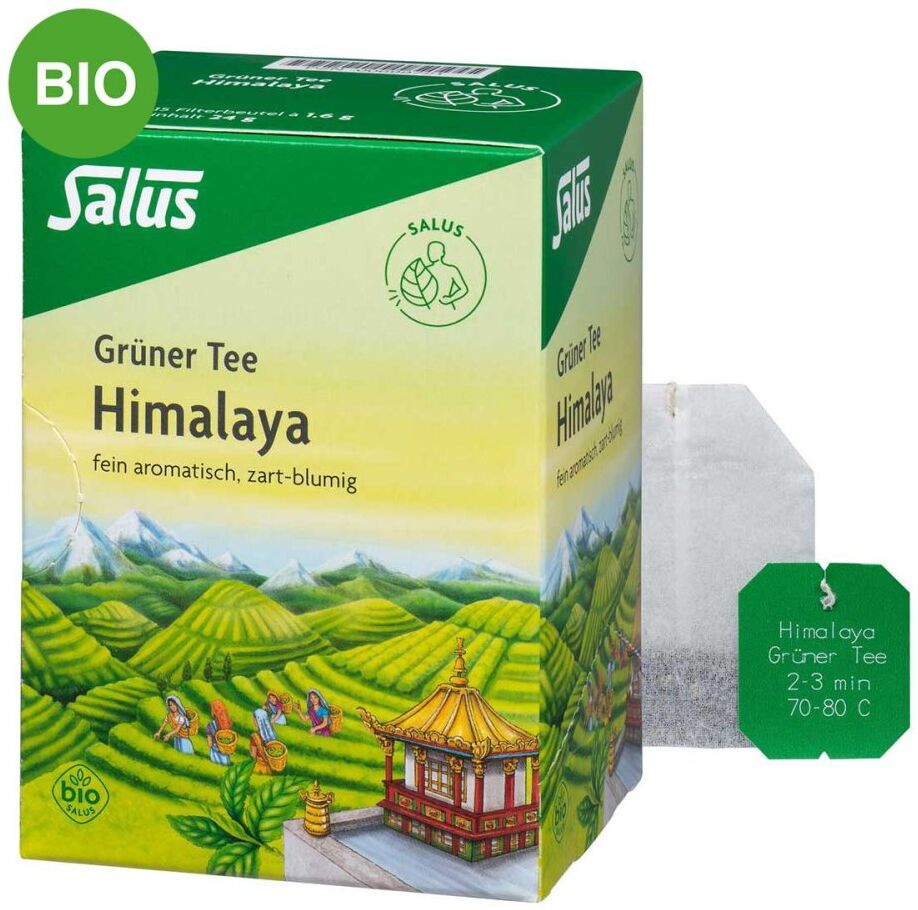 Grüner Tee Himalaya Bio Salus Filterbeutel