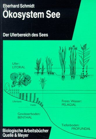 Eberhard Schmidt - Ökosystem See, Bd.1, Uferbereich des Sees - Preis vom 09.10.2026 07:28:09 h