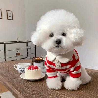 Inspired Living CoolBreeze Striped Dog Shirt With Polo CollarCoolBreeze Striped Dog Shirt With Polo Collar red xs