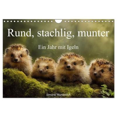 Rund, stachlig, munter - Ein Jahr mit Igeln (Wandkalender 2027 DIN A4 quer), CALVENDO Monatskalender