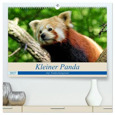 Kleiner Panda auf Entdeckungstour (hochwertiger Premium Wandkalender 2027 DIN A2 quer), Kunstdruck in Hochglanz