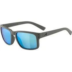 ALPINA Sportbrille / Sonnenbrille "Kosmic", Größe ONE SIZE in Grau 321