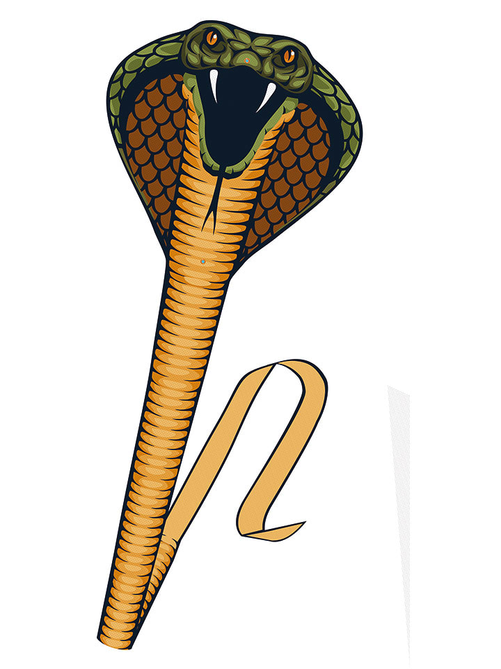 Günther Drache "COBRA" - (L)69 x (B)64 cm - onesize