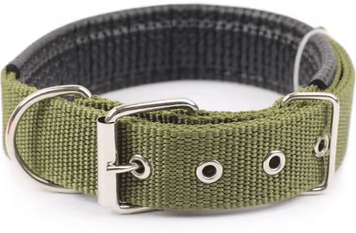 Uplift Curations Solid Nylon Dog Collar Adjustable Collar For Small, Medium & Large Dogs green xxl