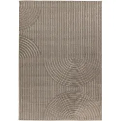 Teppich VIVA silber (BL 160x230 cm) - BL 160x230 cm