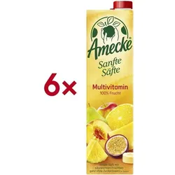 Amecke 6er-Pack Fruchtsaft »Sanfte Säfte Multivitamin« 1 Liter