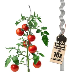 BigDean 10 Tomatenspiralstäbe 110cm voll verzinkt Tomatenstab Tomaten Ranke Pflanzstab Stahl Profi Qualität Tomatenspiralstab