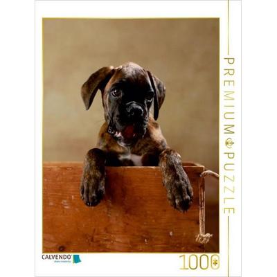 CALVENDO Puzzle Gonzo - Deutscher Boxer, 11 Wochen | 1000 Teile Lege-Größe 64 × 48 cm Foto-Puzzle für glückliche Stunden