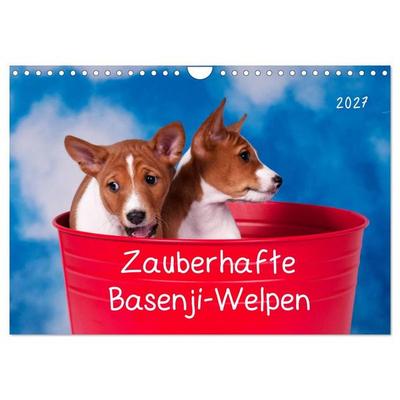Zauberhafte Basenji-Welpen (Wandkalender 2027 DIN A4 quer), CALVENDO Monatskalender